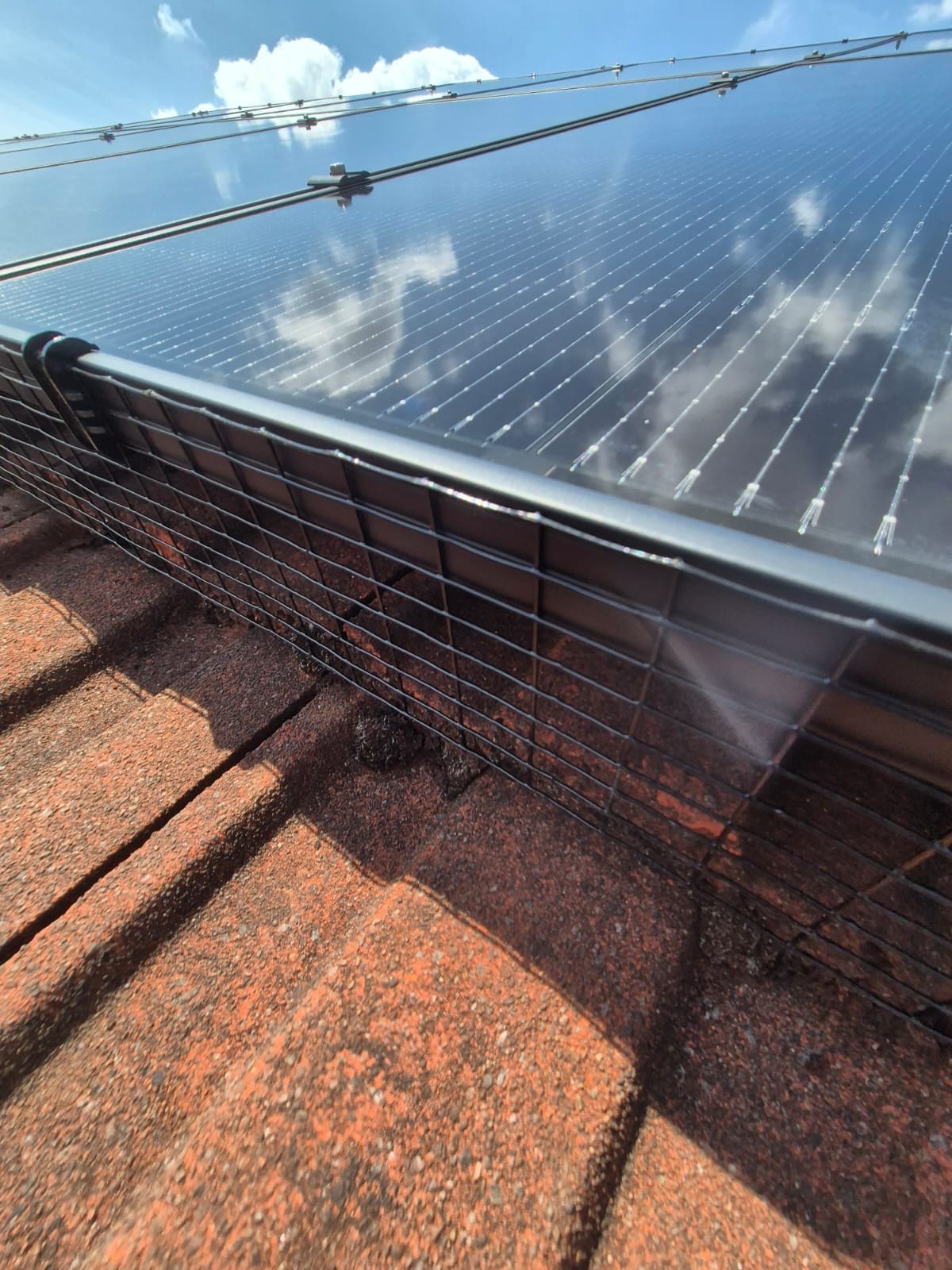 Close view of the edge of a solar panel with black bird mesh clipped along the frame over red roof tiles.